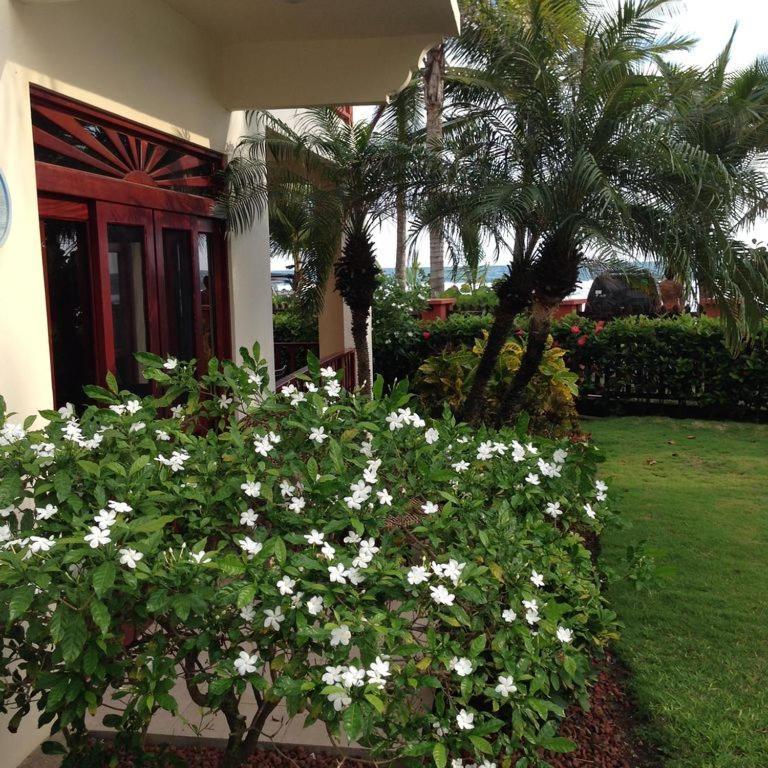 Bahia Azul 3A Villa Jacó Eksteriør bilde